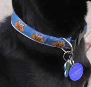 laws-dog-ownership-responsibilities