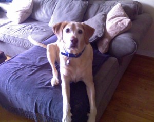Bailey-K-300x239