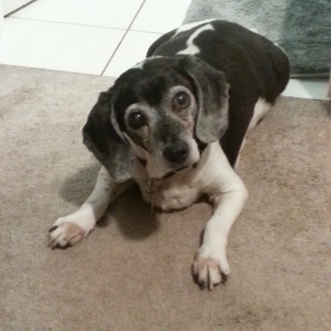 beasley
