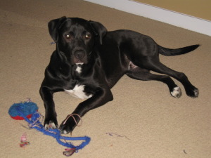 spencer