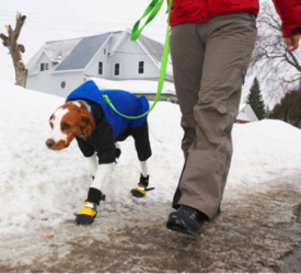Be careful walking your dog this winter with these safety tips
