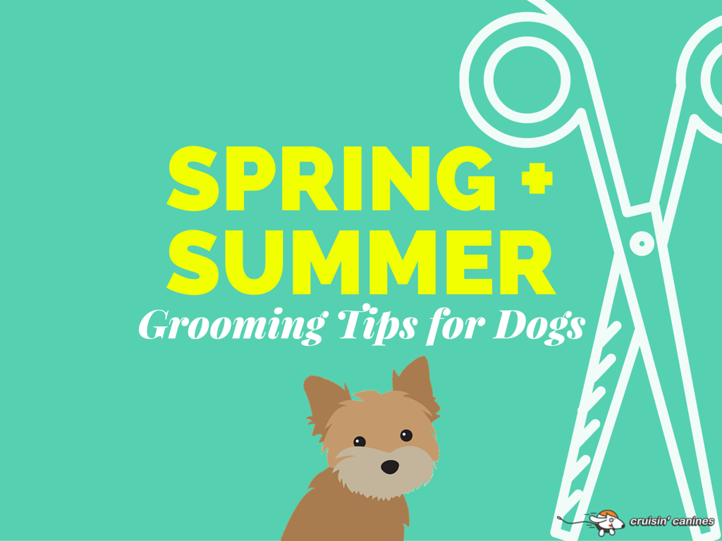 The best grooming requires giving your dog a bath