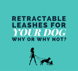 Retractable Leash for Your Dog (1)