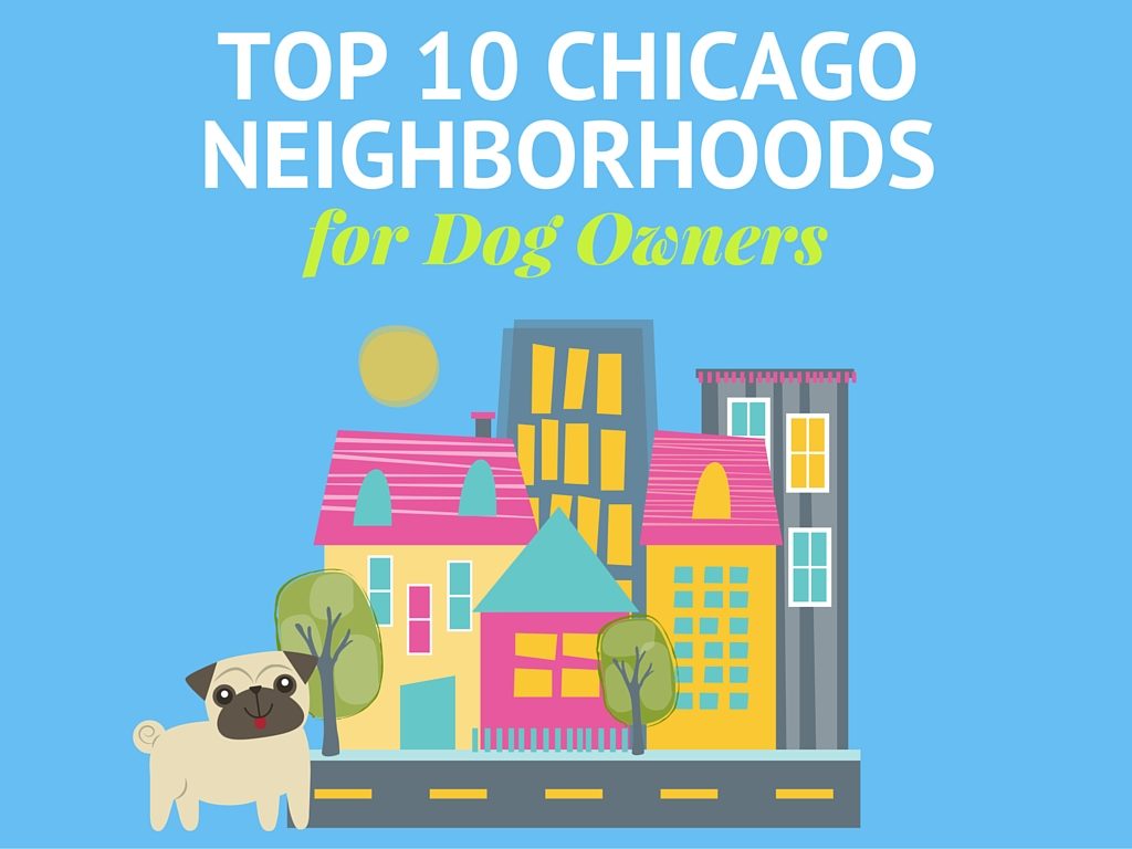 Cruisin' Canines - top 10 chicago neighborhoods for dogs